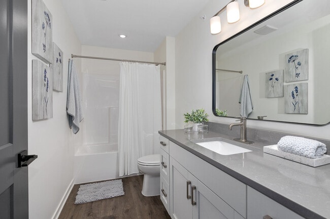 Building Photo - River Birch Apartment Homes