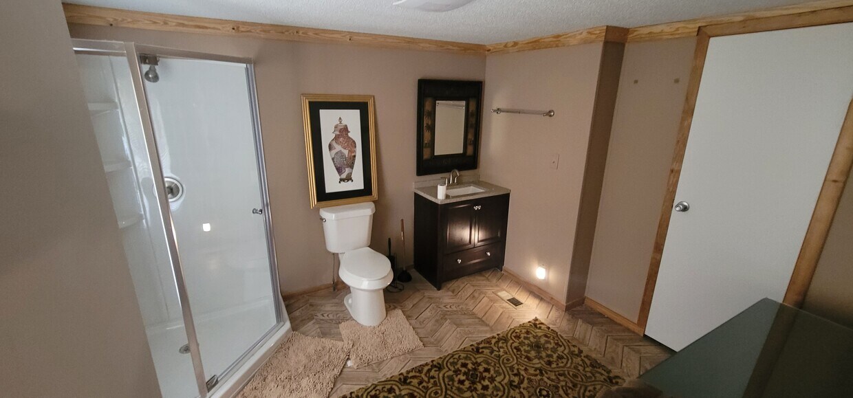 Large, New bathroom - 956 New Hutchinson Mill Rd