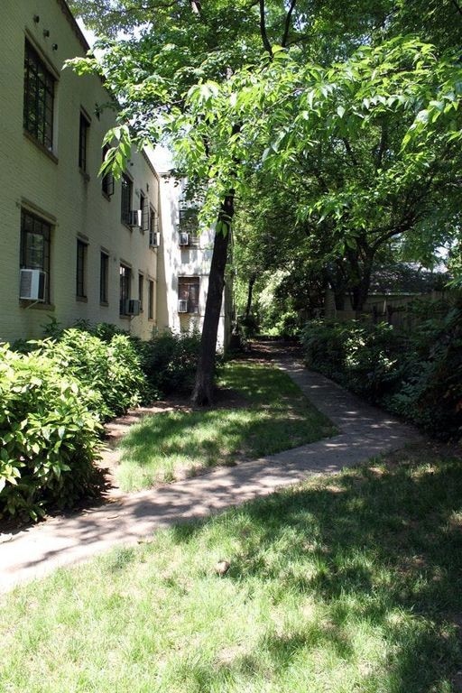 second courtyard - 1121 Myrtle Ave