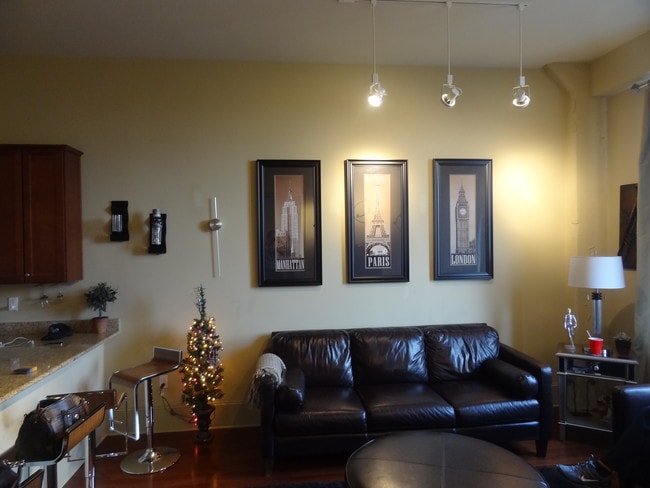 Living Room - 1201 Canal St