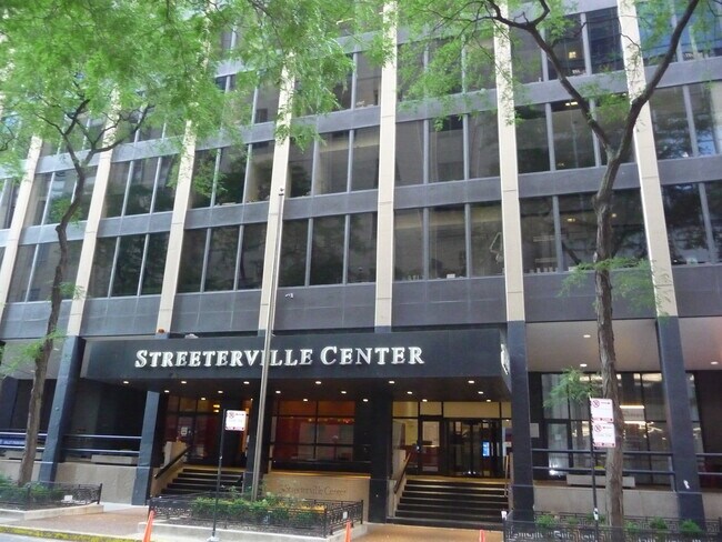 Foto del edificio - 233 E Erie St
