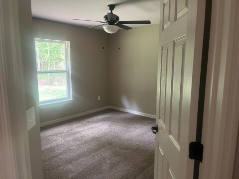 Foto del edificio - 11 Sequoia Loop Ln