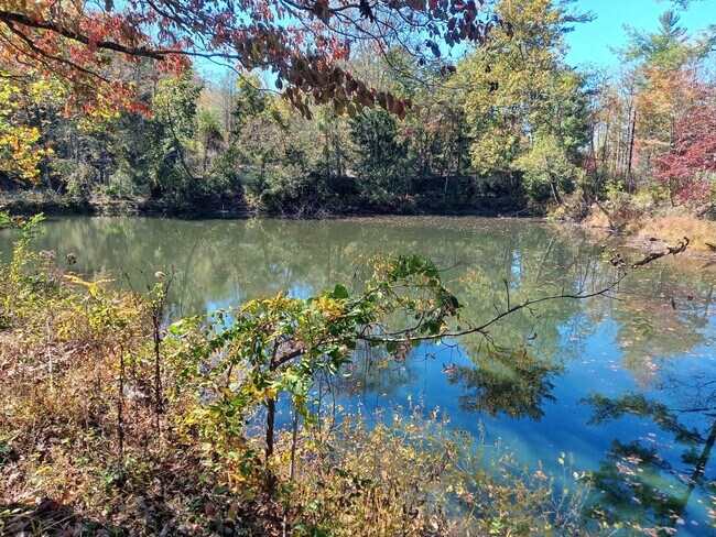 Foto del edificio - Beautiful One Bedroom Cabin on your own Private Pond!