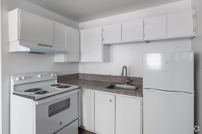 Studio - 396 SF - Kitchen - Pinnacle Apartments