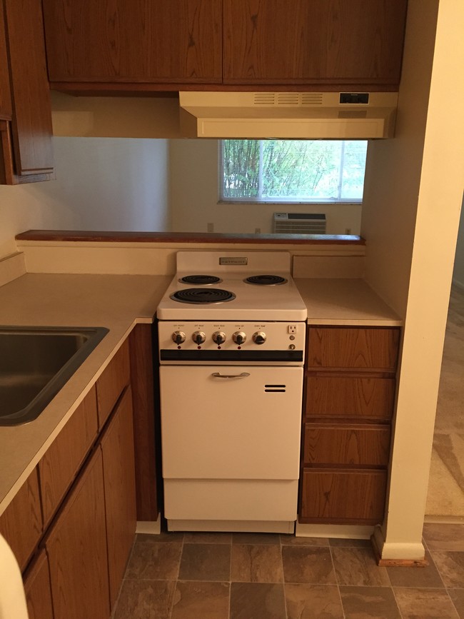 1 Bedroom Kitchen - Colonial Grandview