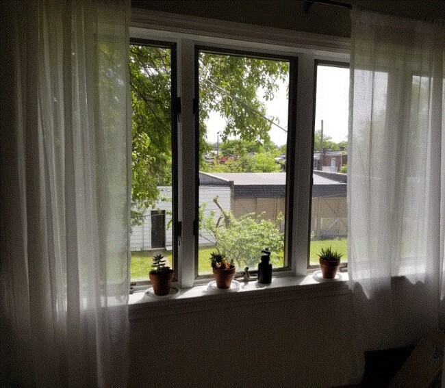 Sunroom full of morning light - 301 S West End Ave