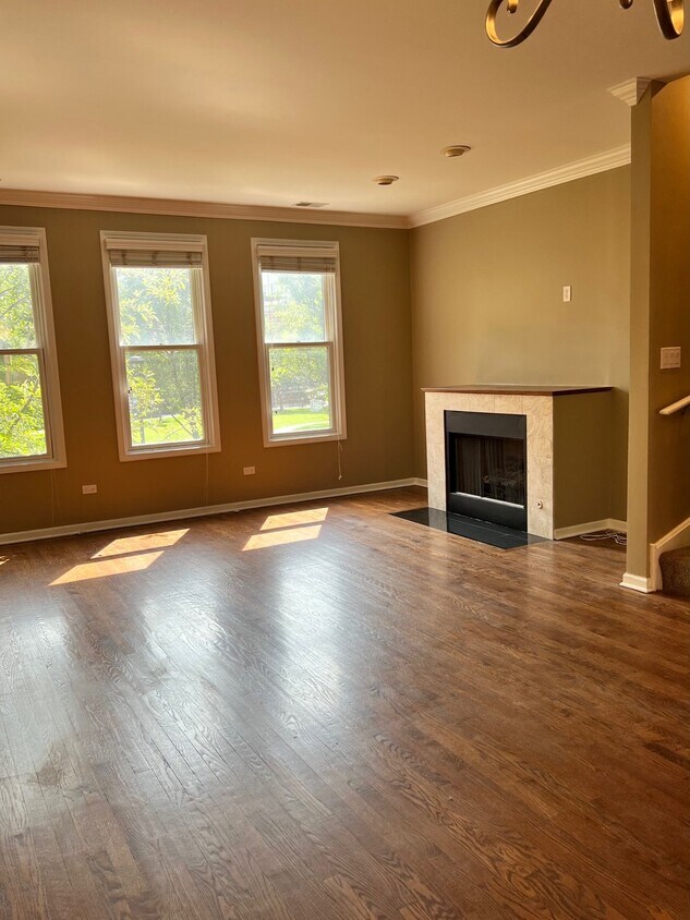 1043 N Kingsbury St, Chicago, IL 60610 Townhome Rentals in Chicago IL