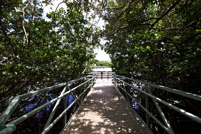 Foto del edificio - Aventura Yacht Club