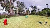This outdoor dog park offers a generously sized, well-maintained grassy area designed for pets to exercise and play freely. The ground is covered in a smooth, manicured lawn that provides a comfortable surface for animals of all sizes. The space is fully enclosed by a sturdy wrought iron perimeter fence, ensuring a secure environment for off-leash activity.

Several pieces of agility equipment are installed throughout the area, including a tunnel and upright training stations, offering both physical stimulation and enrichment for dogs. The tropical setting is highlighted by tall palm trees and dense mature foliage that frame the space on all sides, creating a visually appealing and shaded perimeter. Views of a neighboring structure with a terracotta roof are visible through the tree line, adding architectural character to the backdrop.

The open-air design allows for abundant natural light, while the surrounding canopy of trees provides partial shade along the edges. The overall atmosphere is inviting and well-kept, reflecting a thoughtfully designed amenity space suited for pet-friendly communities. The combination of open lawn, secure fencing, and dedicated agility features makes this dog park a functional and enjoyable outdoor destination for residents and their pets.
