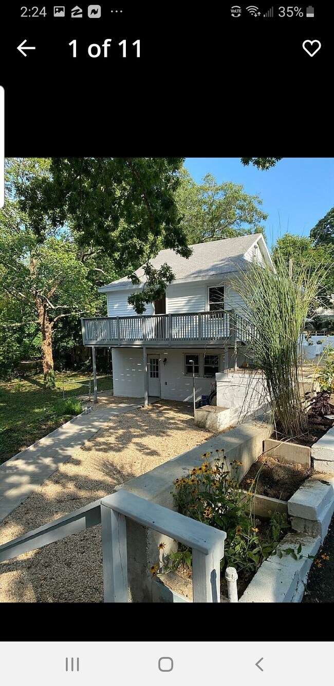 yard - 63 Somerset Rd