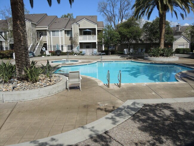Foto del edificio - 2/2 Downstairs Unit in Desirable Park Alma...