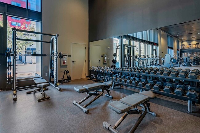 Gimnasio - 06 - Library Park