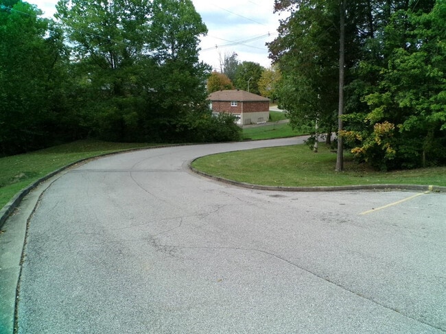 Foto del edificio - 244 Meadowview Dr