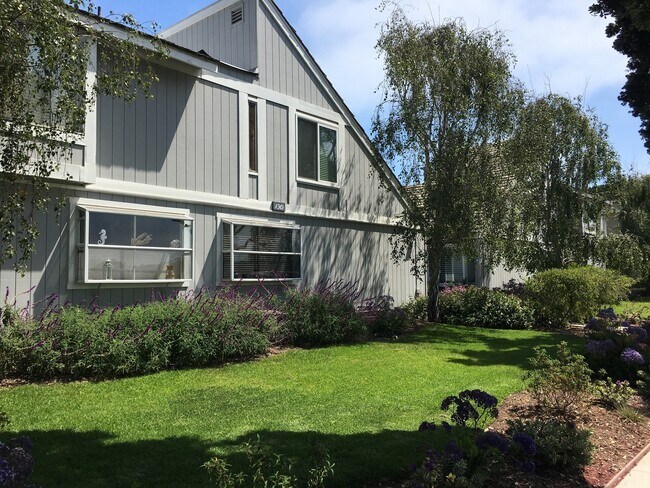 Foto del edificio - Cozy Studio by the Beach in Sandpiper III Complex!