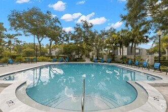 Building Photo - The Pointe at Carrollwood