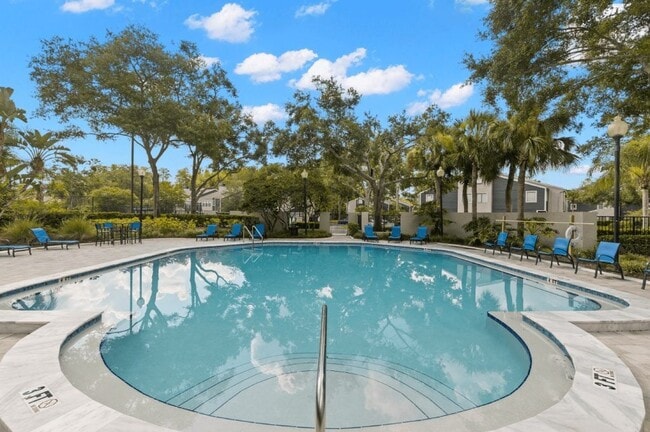 Building Photo - The Pointe at Carrollwood
