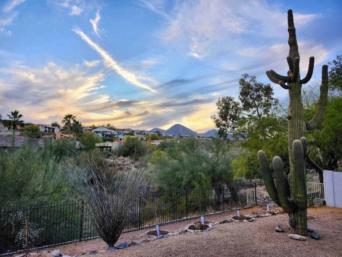 Foto principal - 16414 Dixie Mine Trail