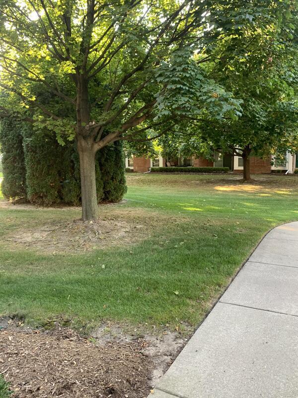Building Photo - 4266 Berkshire Dr