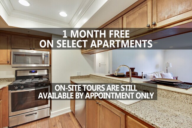 Download 1 zimmer apartments in virginia beach For Android 1 Zimmer Apartments In Virginia Beach