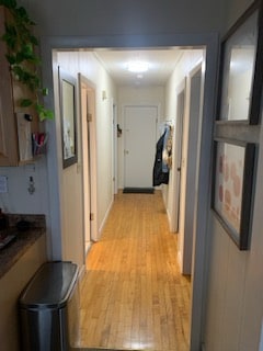 Photo - 207 Andover St (Andover, MA) Apartment