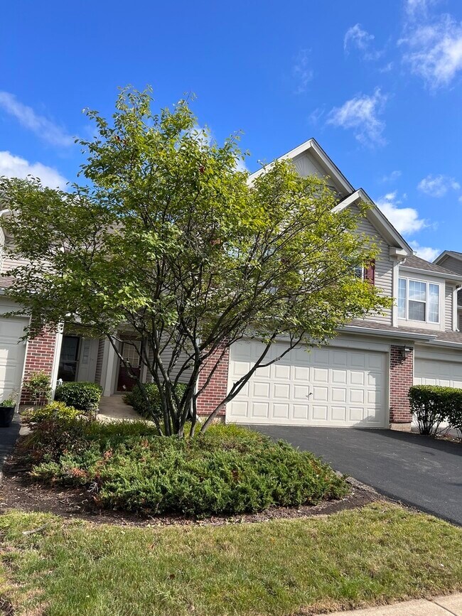 Building Photo - 3261 Cool Springs Ct
