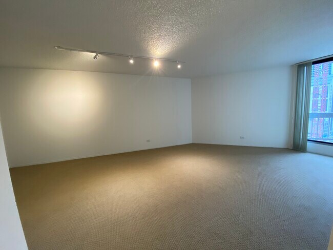 Large Living Room with Balcony - 110 W Huron St