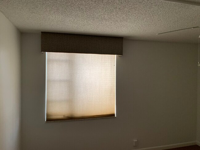 Building Photo - 255 Dolphin Point