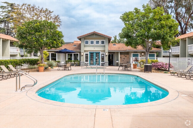 Pool and Spa - Serena Vista