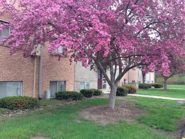 Building Photo - Ridgeway Apartments