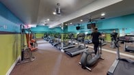 This fitness center is designed to accommodate a comprehensive workout experience within a single-level layout. The space is immediately distinguished by its bold color scheme—teal and lime-green walls are divided by a dark brown accent stripe, creating an energetic and motivating atmosphere. Recessed lighting and ceiling fans are distributed throughout, ensuring the space remains well-lit and comfortable during use.

The cardio area features multiple treadmills and elliptical machines lined along one wall, with large mirrors amplifying the sense of space and allowing users to monitor their form. Mounted televisions provide entertainment during cardio sessions. The strength-training section includes a multi-station cable machine with adjustable seating, a dedicated free-weight area with a full rack of dumbbells in varying sizes, and several adjustable weight benches positioned on protective floor mats. Additional resistance machines are distributed throughout the room.

The flooring combines carpet in the main areas with rubber mats beneath the equipment zones, offering both comfort and durability. A posted health club rules sign indicates this is a shared amenity facility. Structural support columns are integrated into the layout without significantly disrupting the open flow of the space.