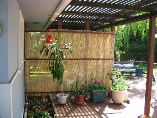 Building Photo - Comfy Studio for Rent