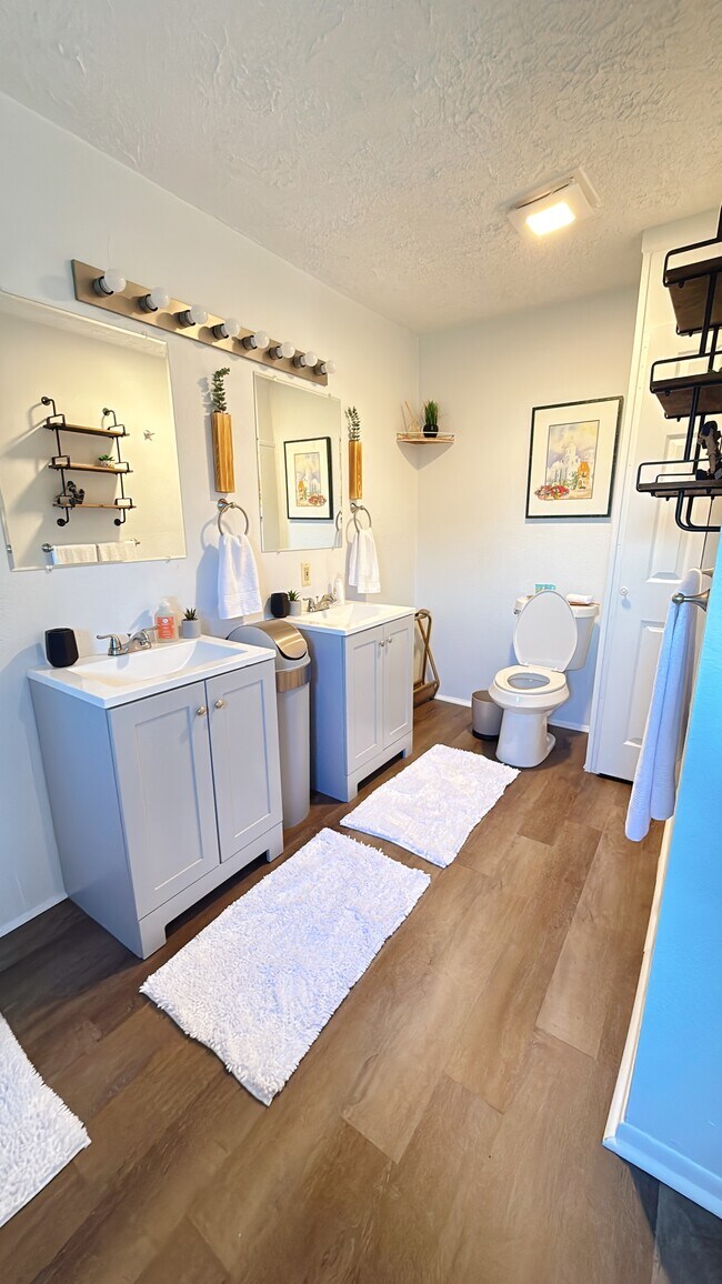 Baño principal con tocador doble - 10603 Thomaswood Ln