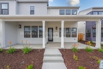 Building Photo - 111 Sea Shell Ave