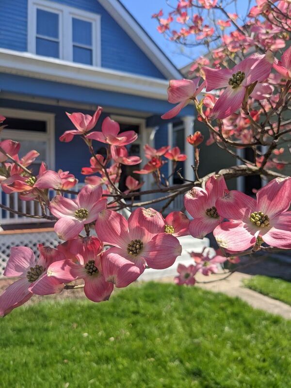 Building Photo - 3742 Kenilworth Pl