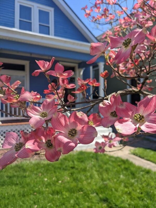 Photo - 3742 Kenilworth Pl House