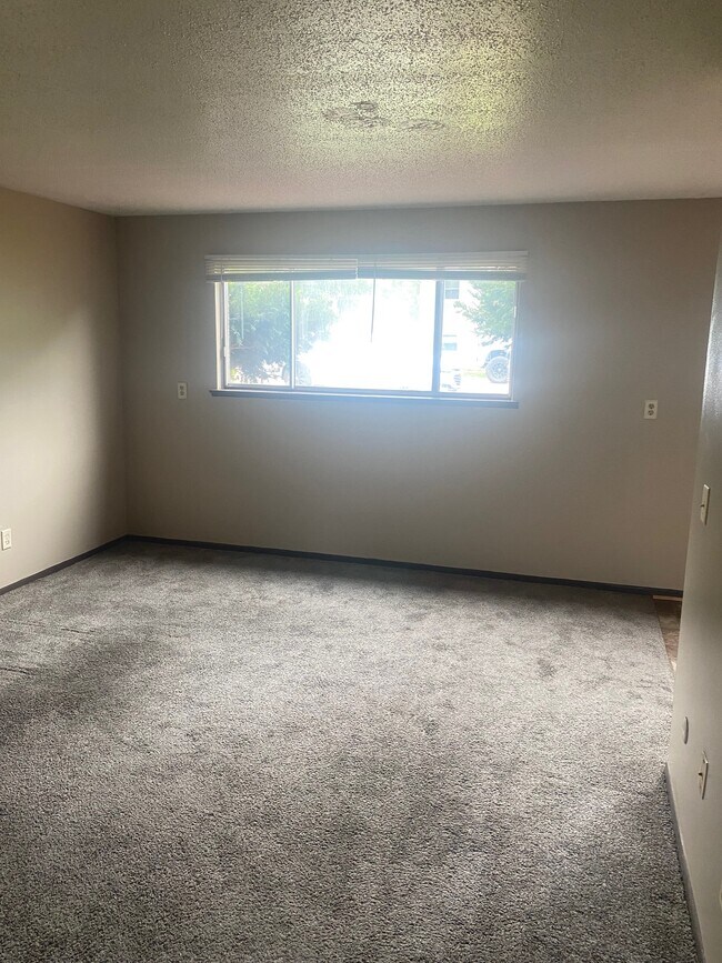Living room - 3023 N Michigan Ave