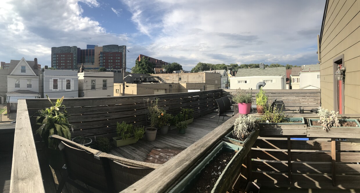 Roof deck - 4651 Gangwish St