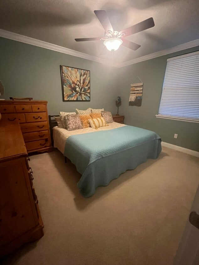 Photo - 132 Hidden Palms Ln (Palm Valley, FL)