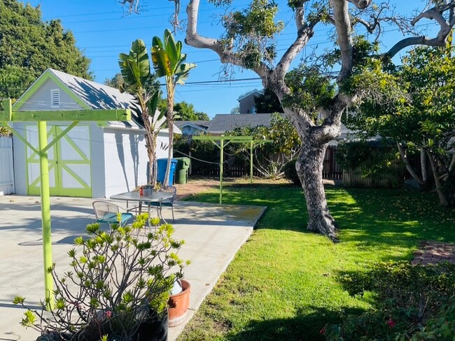 Back Yard - 3842 Minerva Ave