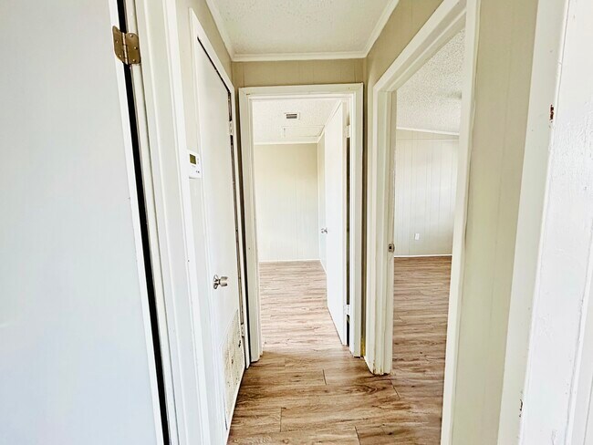 Pasillo de 2 dormitorios - Treehouse Apartments