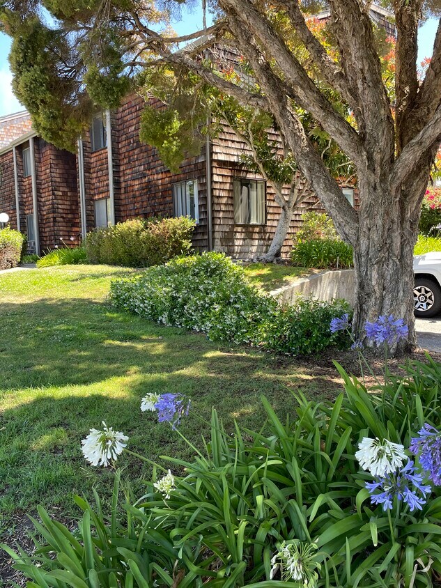 Primary Photo - 912 Capitola Ave