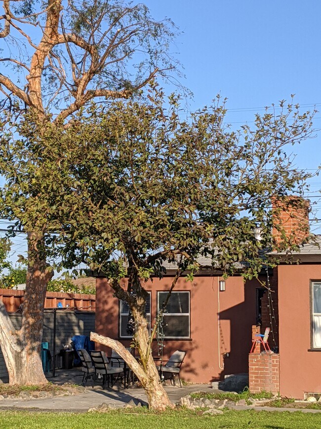 Beautiful front yard - 2705 W Ramona Rd