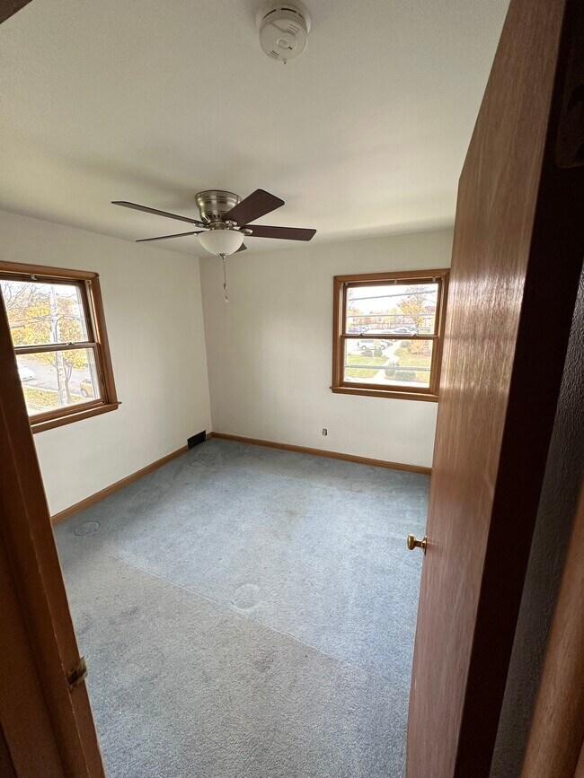 Building Photo - 3503 Albert Ct