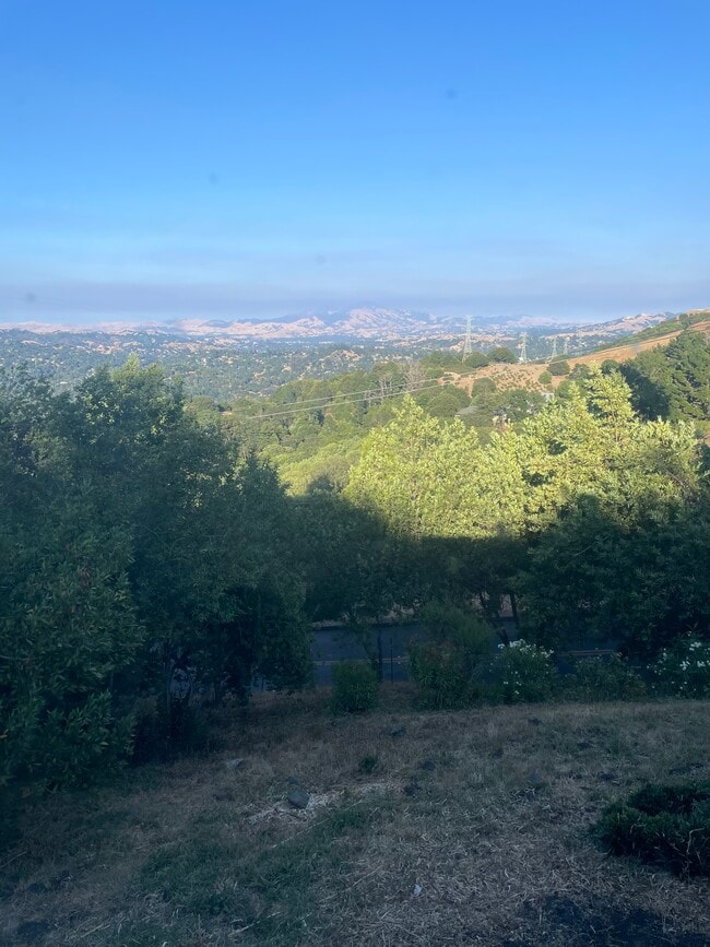 Building Photo - 236 Lomas Cantadas