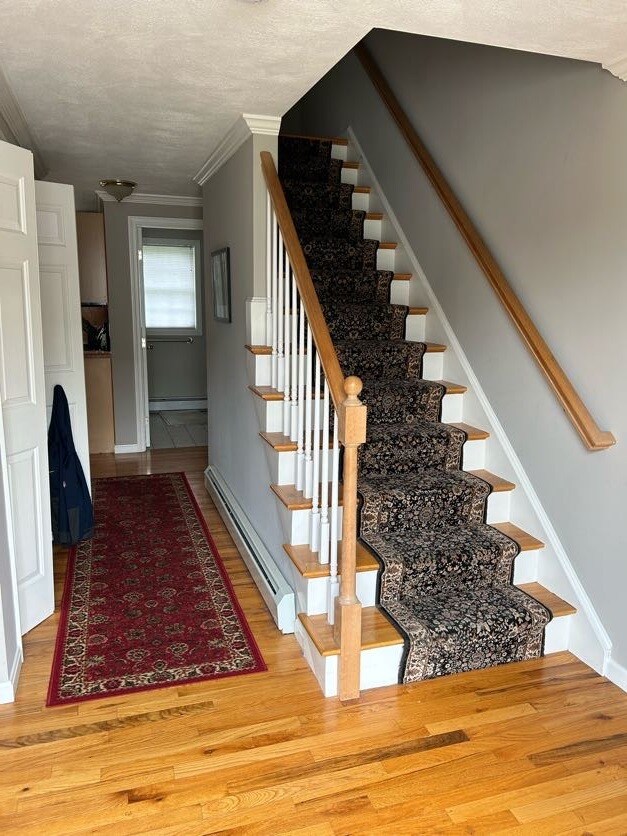 Entrance - 11 Hyde St