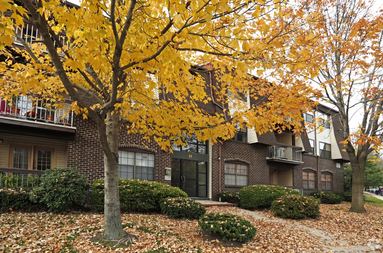 Primary Photo - Green Plaza