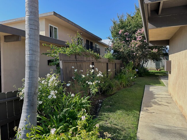 Building Photo - 1523 Del Amo Blvd