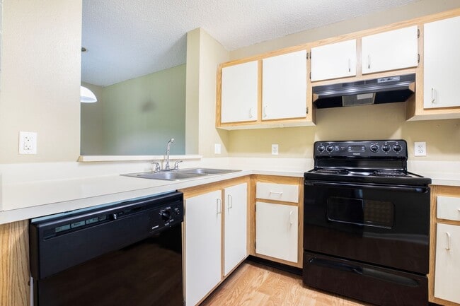 Interior Photo - Coral Falls