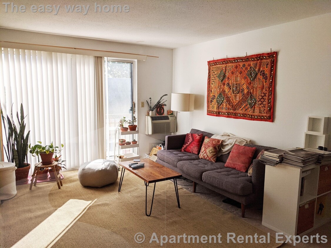 Primary Photo - 41 Belmont St