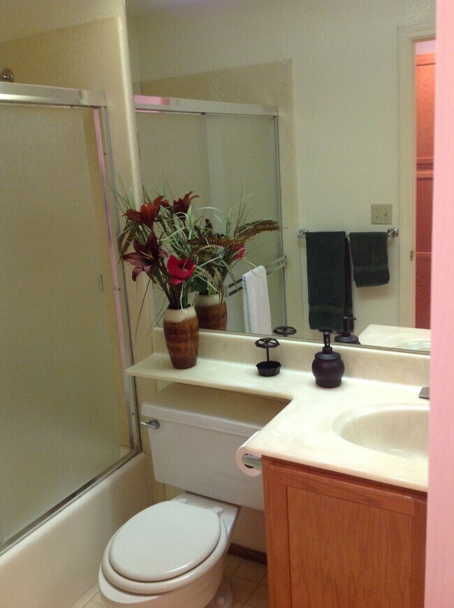 master bathroom - 1675 Parkview Green Cir